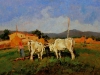 Carlo Domenici, Lavoro in campagna